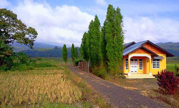 Partai Nasdem Gelar Rapat Kilat di Kota Padang untuk menentukan ketua baru