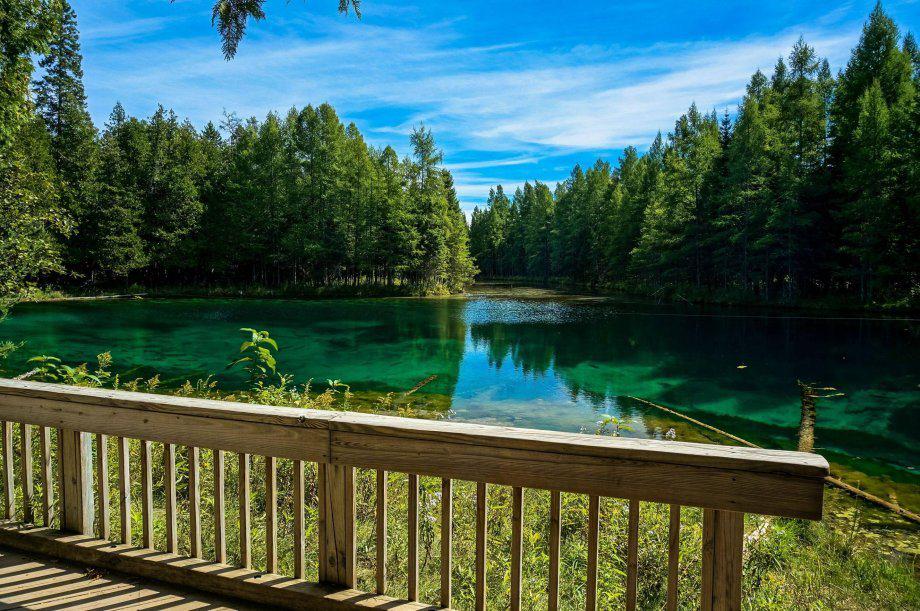 Ketika "Ciyus" Terucap dari Mulut Jokowi (Presiden RI)